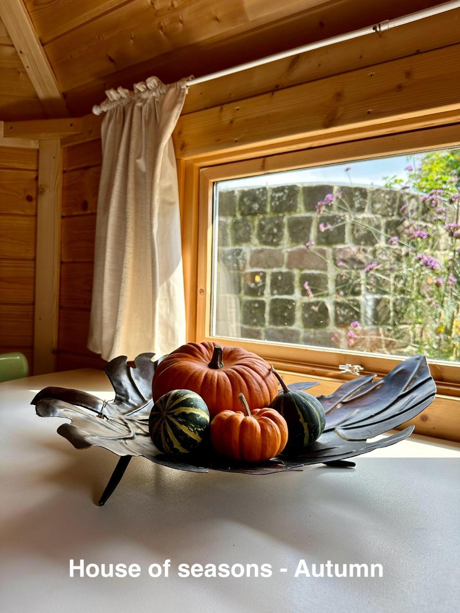 B&B Cosy Garden Alblasserdam Rum bild