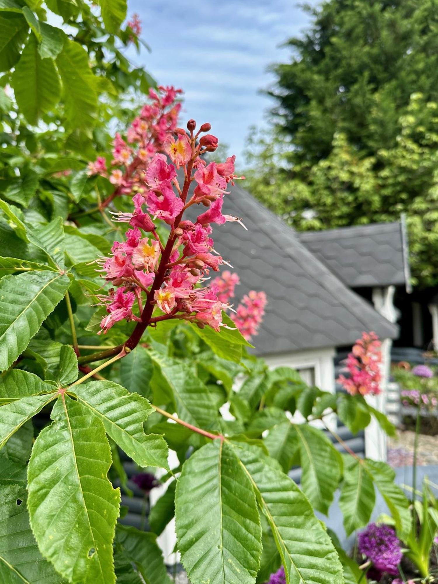 B&B Cosy Garden Alblasserdam Exteriör bild
